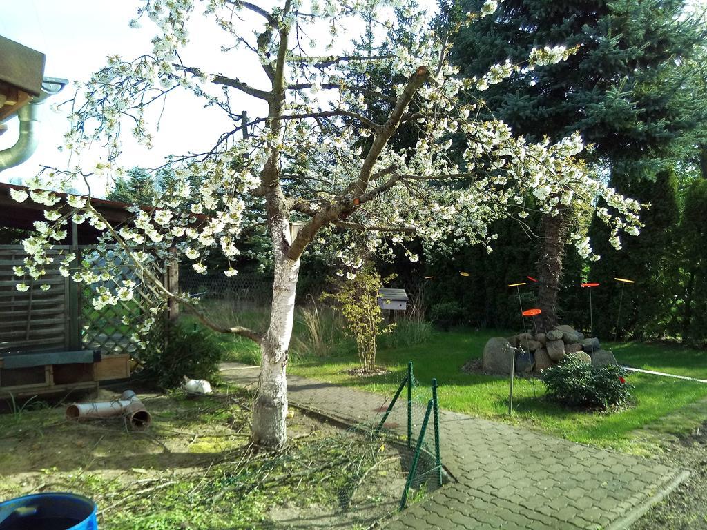 Steffis Zimmervermietung Gräben Εξωτερικό φωτογραφία